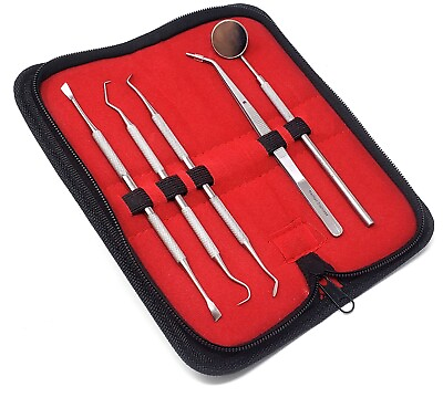 #ad Professional Dental Oral Kit Scaler Probe Pick SET Mirror Tools German Stainless $8.99