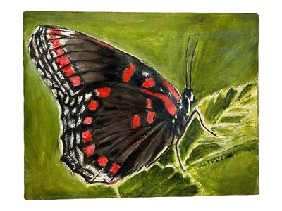 #ad Butterfly Oil Painting Local Artist Joseph Kemble 14 inch by 11 inch $35.31