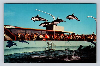 #ad Los Angeles CA California High Flying Dolphins Marineland Vintage Postcard $7.99
