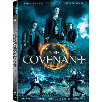 #ad The Covenant 2006 Horror Thriller Steven Strait Sebastian Stan DVD $6.99
