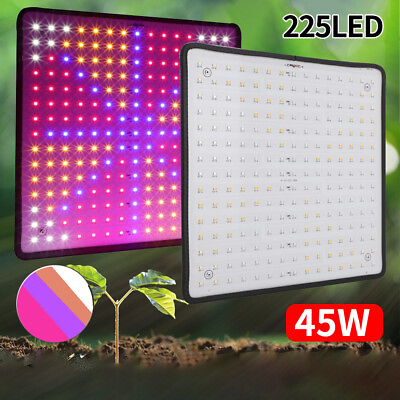 #ad 6000W LED Grow Lights Full Spectrum for Indoor Veg Flower Bloom Lamp Plant QL $28.52