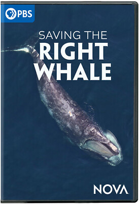 #ad NOVA: Saving The Right Whale New DVD $18.96