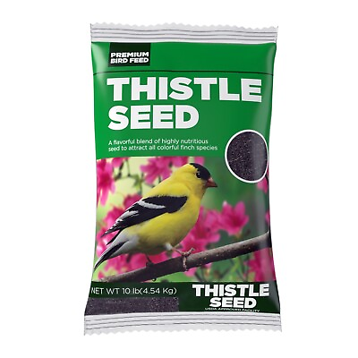 #ad Premium Natural Black Thistle Nyjer Seed Wild Bird Food 10 Lb Bag BrownBird $17.28
