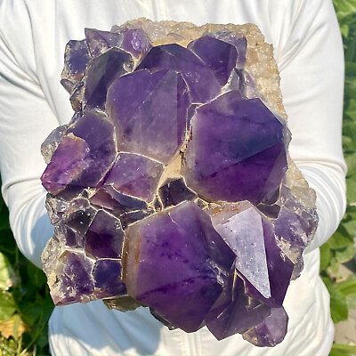 #ad 13.9LB Natural Amethyst backbone clustercrystal rod point healing therapy $730.00