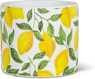 #ad Abbott Collection Small Sunny Lemons Planter Small Multicolor $27.81
