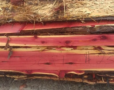 #ad 4 Red Cedar Live Edge Wood Slab Lumber Rustic Woodwork 13.5 in $37.99