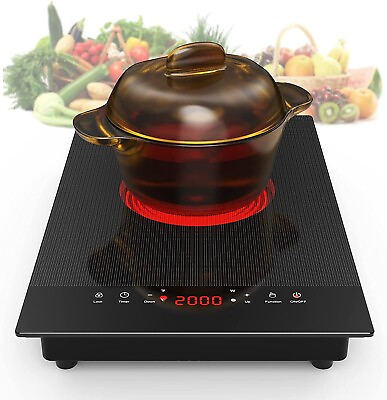 #ad New Electric Radiant Cooktop Burner Electric Stove Top Touch Control 120V 2000W $79.99