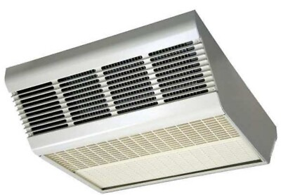 #ad Electric Ceiling Heater 208 V 4K Watts $399.95