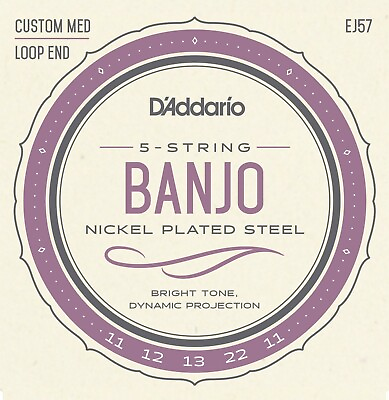 #ad D#x27;Addario EJ57 5 String Banjo Nickel Custom Medium 11 22 Loop End J57 $8.79
