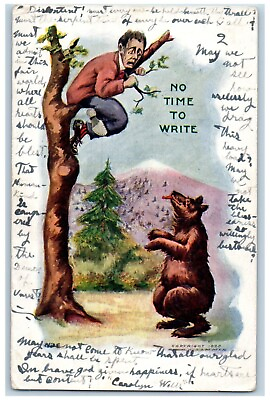 #ad Roswell NM Postcard Man On Top Of Tree Chasing Bear Embossed c1905 Antique $9.72