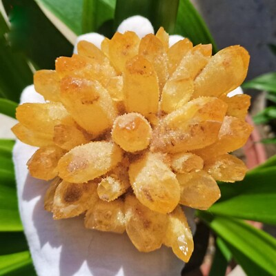 #ad 300g 700g Mineral Specimen Gem Quartz Crystal Cluster Natural Yellow Crystal $43.49