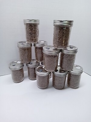 #ad PF Tek Mushroom Jars BRF 1 2 pint sterilized EASY To Use Inject Filter FAST SHIP $49.95