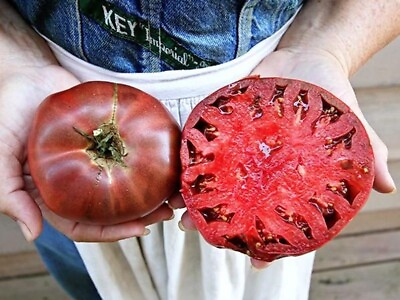 #ad 120 Cherokee Purple Tomato Seeds Heirloom Non GMO FRESH $2.98