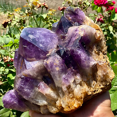 #ad 11LB Natural Amethyst backbone clustercrystal rod point healing therapy $450.00
