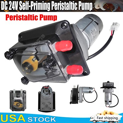 #ad Self Priming Peristaltic Pump DC 12V 24V Large Flow Dosing Pump for Aquarium Lab $49.99