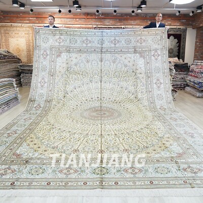 #ad 12#x27;x18#x27; Handwoven Silk Carpet Huge Radiant Home Decor Medallion Villa Rug Y234AB $19166.00