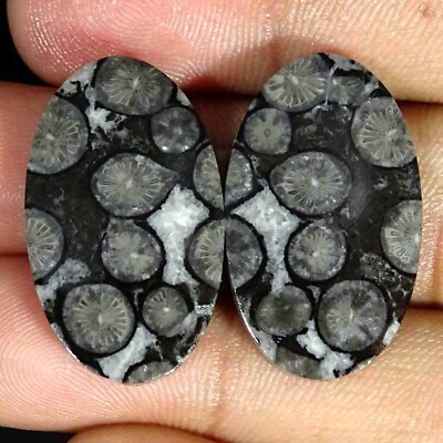 #ad #ad 39.60Cts Natural Black Fossilized Coral Oval Pair Cabochon Loose Gemstone $8.99
