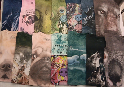 #ad Lot Of 14 Adult SM The Mountain Graphic AOP T Shirts Lot Vtg To Modern No Dupes $154.50