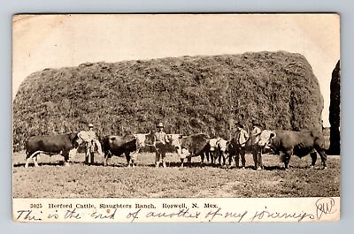 #ad Roswell NM New Mexico Herford Cattle Slaughters Ranch Vintage Postcard $7.99