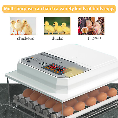 #ad 2024 Incubator Automatic 36 Egg Chicken Chick Hatcher Incubators for Hatching $61.99