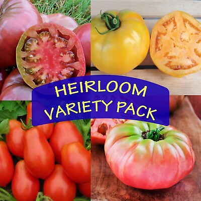 #ad 4 Ultra Heirloom Variety Pack Live Mix of Tomato Plants. Stout 5quot; Tall Plants $25.00