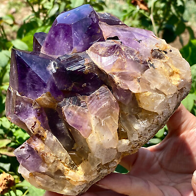 #ad 2.9LB Natural Amethyst backbone clustercrystal rod point healing therapy $160.00