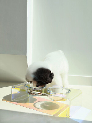 #ad 🔴Ships Free 🔥Acrylic Pet Dazzling Bowl Food Basin Small Dog pet novelty gift $69.99